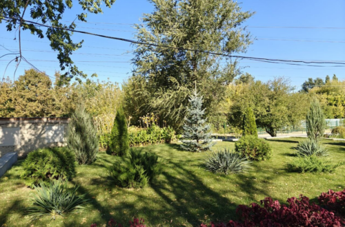 Ростовский-на-Дону зоопарк 24