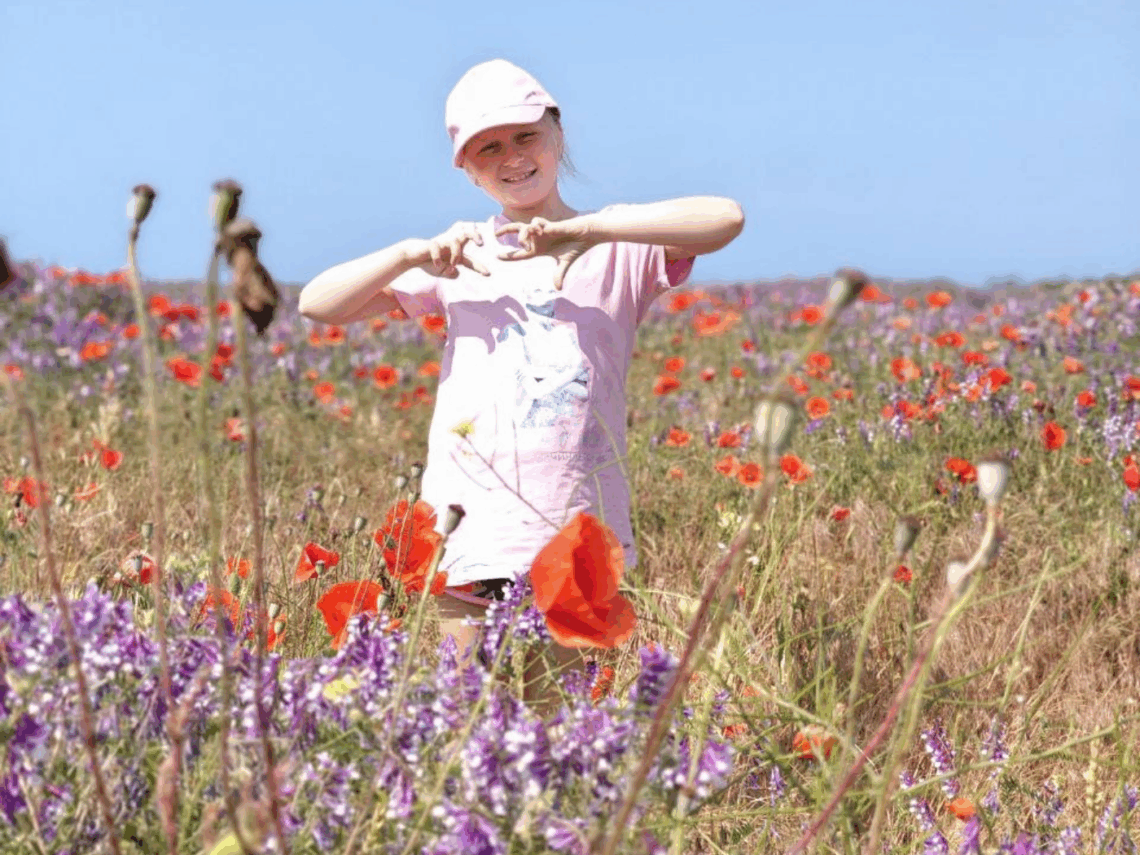 Аттестация 3 класс 2024-2025