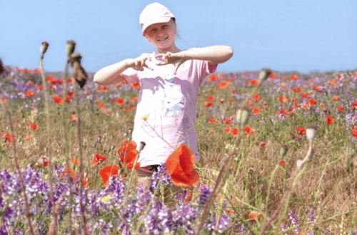 Аттестация 3 класс 2024-2025